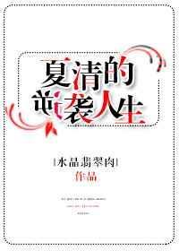 夏清dji