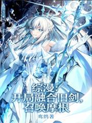 穿越开局融合终结者的