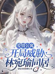 爱情公寓之我是林宛瑜她老哥