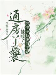 通房丫鬟不卑微
