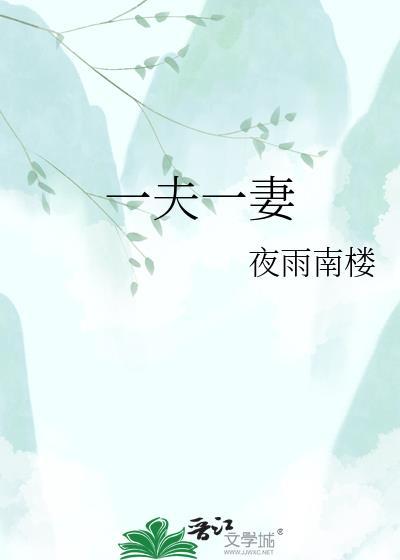 一夫一妻制的皇上