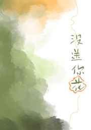 你没送我花的时候