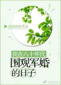 我在八十年代围观军婚的日子无防盗