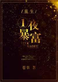 一夜暴富txt