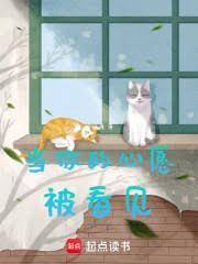 当你的心愿被看见全文免费阅读无弹窗