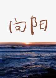 向阳花