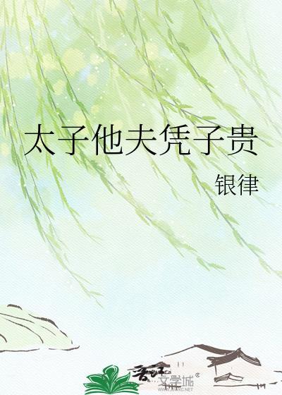 银律太子他夫凭子贵
