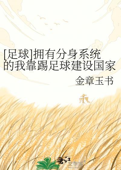 足球有系统