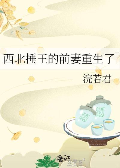 西北王电视剧