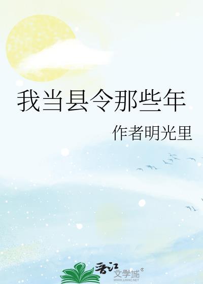 我当县令那些年 明光里