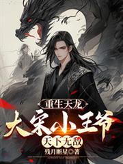主角在天龙是大宋王爷的