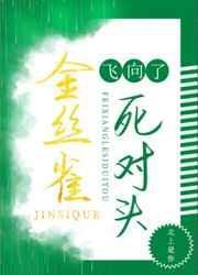 菟丝花也能万人迷