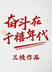 奋斗在八零年代作者银河祁(完结)