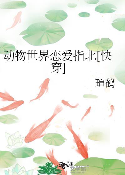 动物世界爱情故事解说
