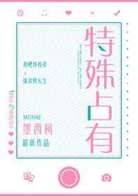 特殊占有墨西柯无防盗