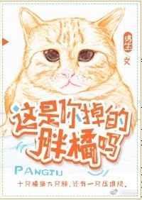 这是你掉的胖橘么