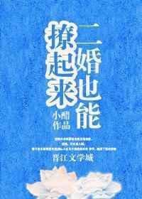 二婚我也认