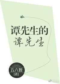 谭先生的谭先生讲的是什么