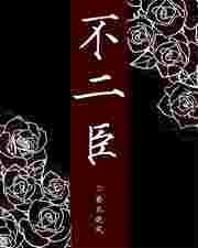 不二臣电视剧免费观看