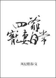 四爷宠妻日常全文阅读