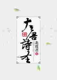 大唐诗圣电视剧免费观看
