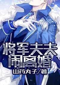 将军夫夫闹离婚 txt