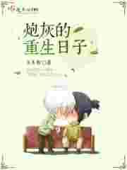 重生炮灰1vn