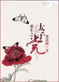 重生之太子闯官场免费阅读