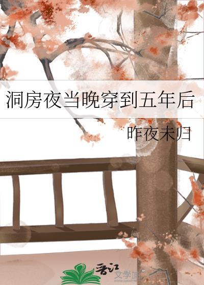 洞房夜傍晚穿到五年后
