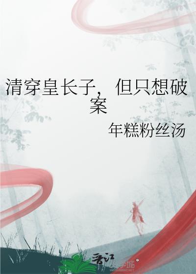 清穿皇子争皇位的