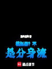 模拟器不是分身流免费阅读