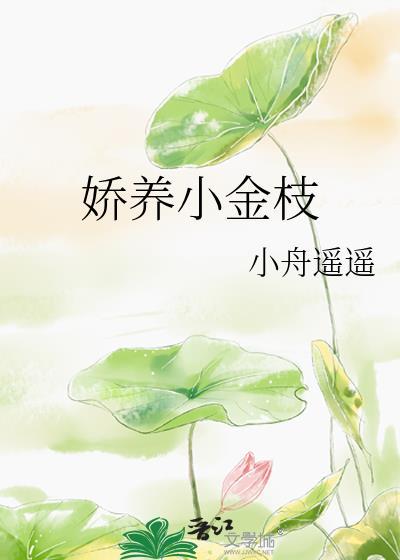 娇养小金枝附带番外TXT百度