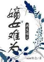 再生缘简介