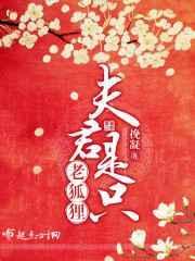 夫君是只妖雪之晨笔趣阁