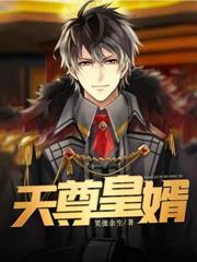 天尊皇婿阅读