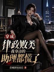穿越当律师