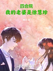 四合院我的老婆双胞胎