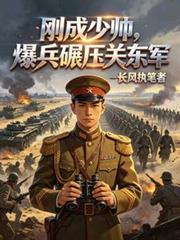 抗战民国少帅