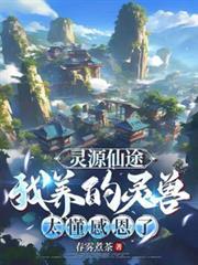 灵源仙途我养的灵兽太懂感恩了起点