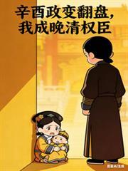 辛酉政变后清朝统治格局的变化