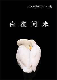 白夜问米简介