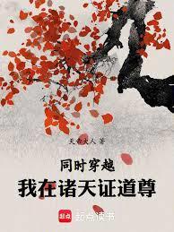 同穿穿越我在诸天证道