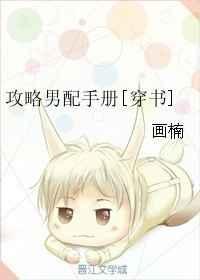 攻略男配的正确方法 分类