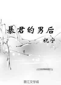 暴君的男后无防盗