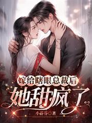 嫁给眼盲二皇子后全文免费阅读