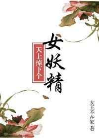 天上掉下个美夫君
