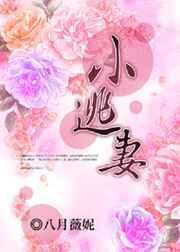 总裁的小逃妻