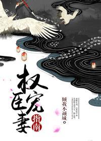 权臣的宠妻之路