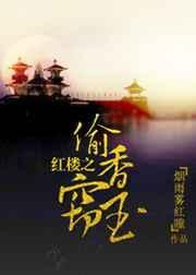 红楼之情醉