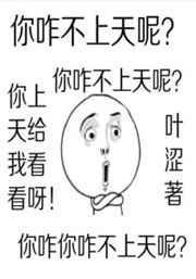 公主你咋不上天呢